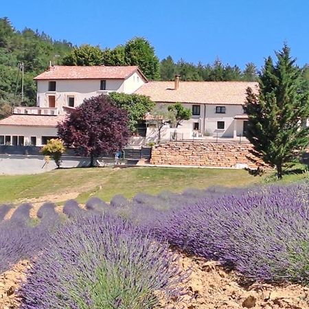 Domaine De Prefaissal Bed & Breakfast Mezel  Exterior foto